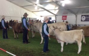 Bottlesford team at Adelaide Show